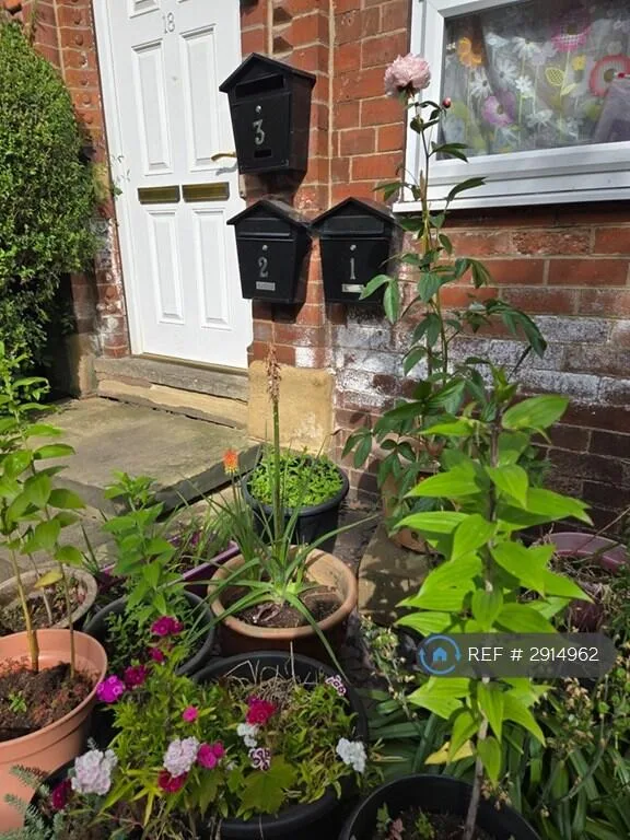 4 bedroom flat for rent