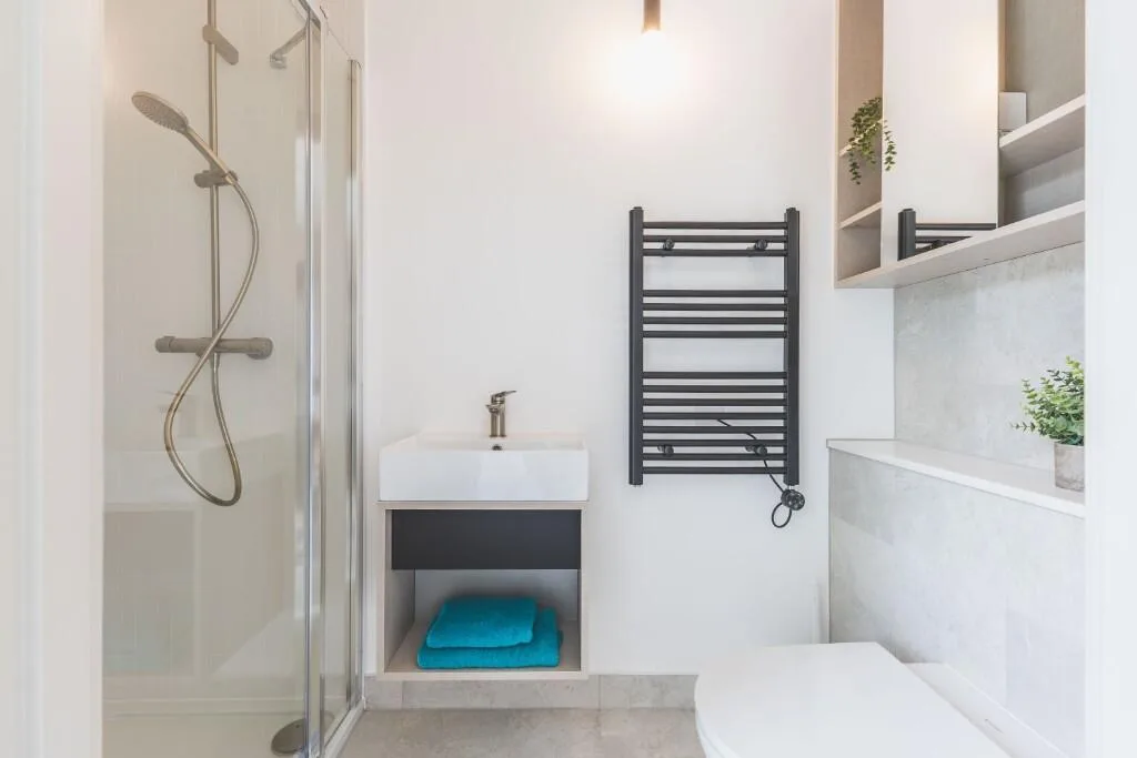 1 bedroom flat share for rent