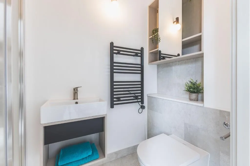 1 bedroom flat share for rent