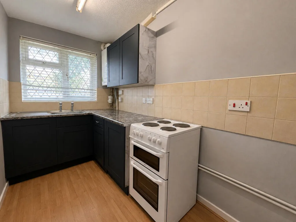 1 bedroom house for rent