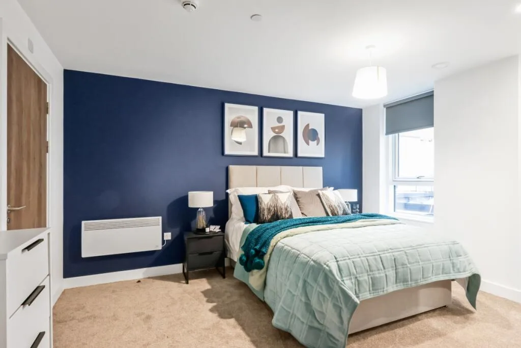 1 bedroom flat for rent