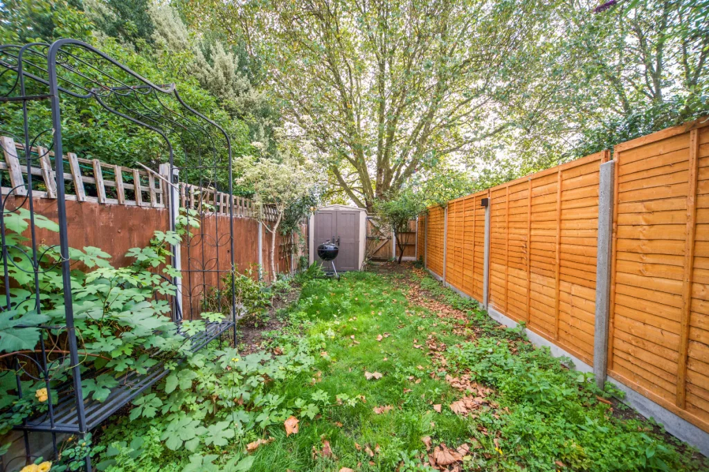 2 bedroom house for rent
