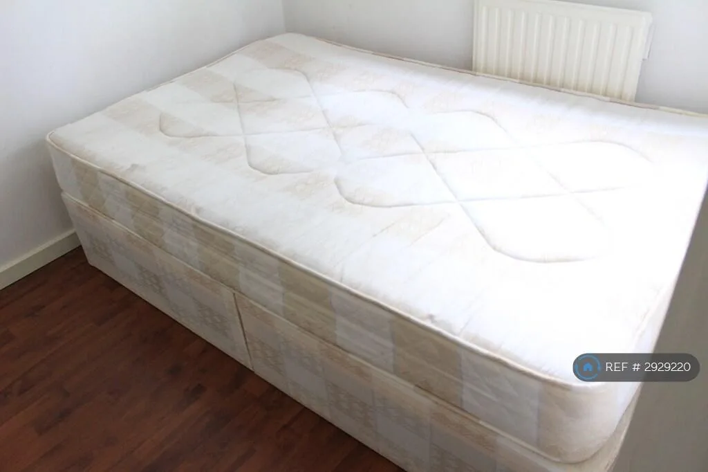 4 bedroom flat for rent