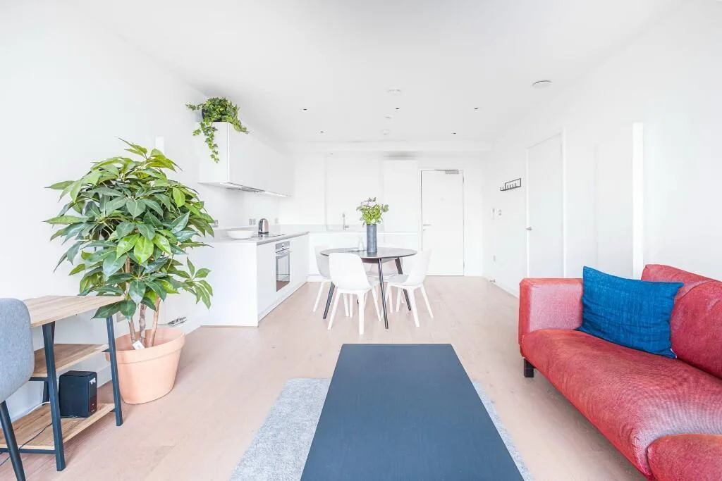 1 bedroom flat for rent