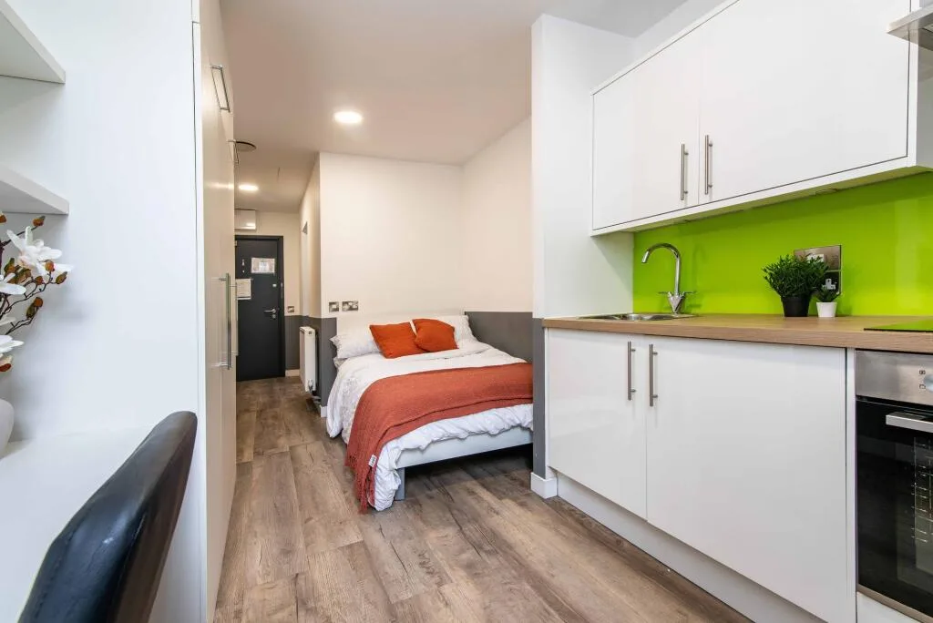 1 bedroom apartment for rent