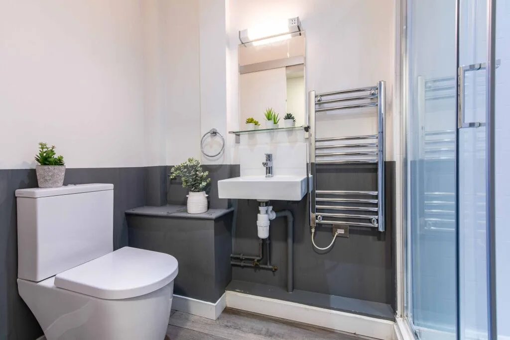 1 bedroom apartment for rent