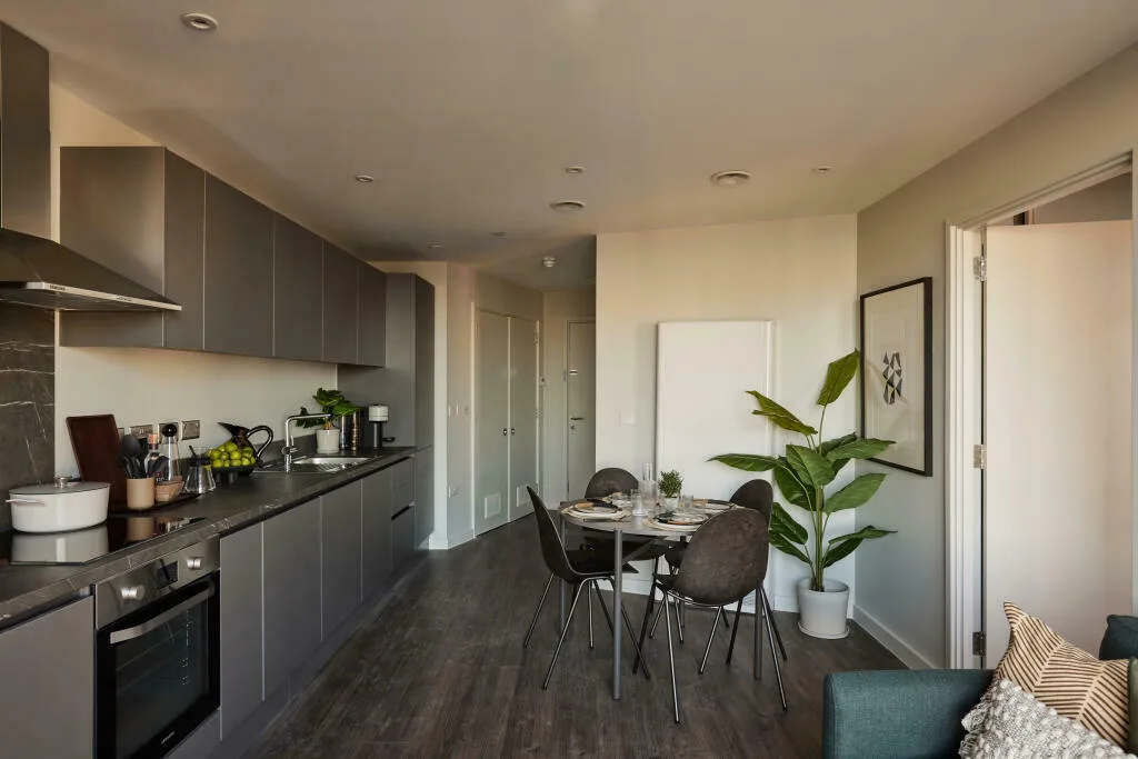 1 bedroom apartment for rent