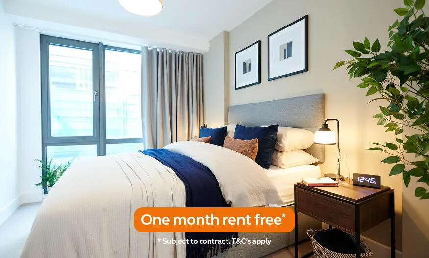 1 bedroom apartment for rent