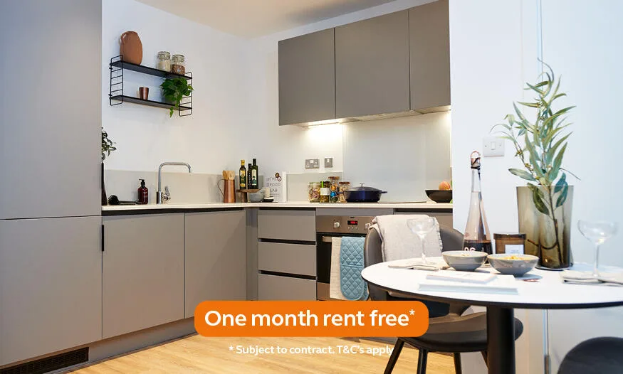 1 bedroom apartment for rent