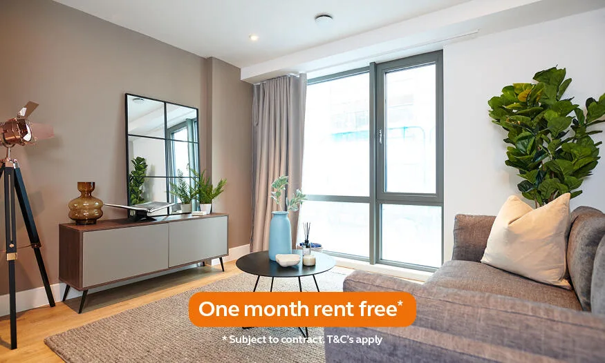 1 bedroom apartment for rent