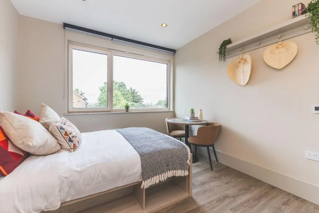 1 bedroom flat share for rent