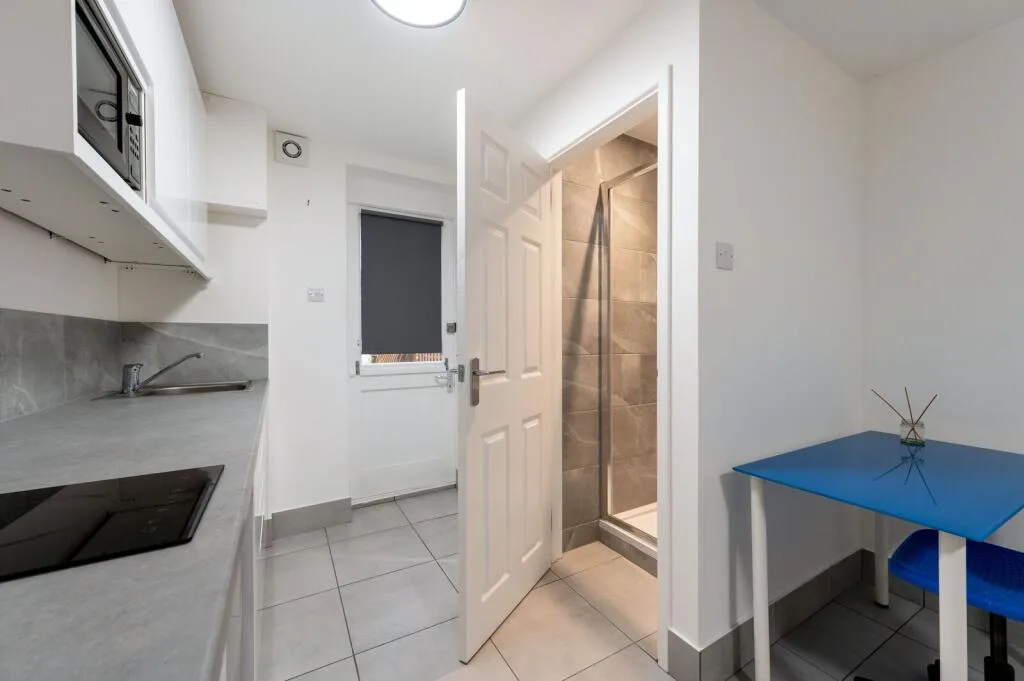 Studio flat for rent