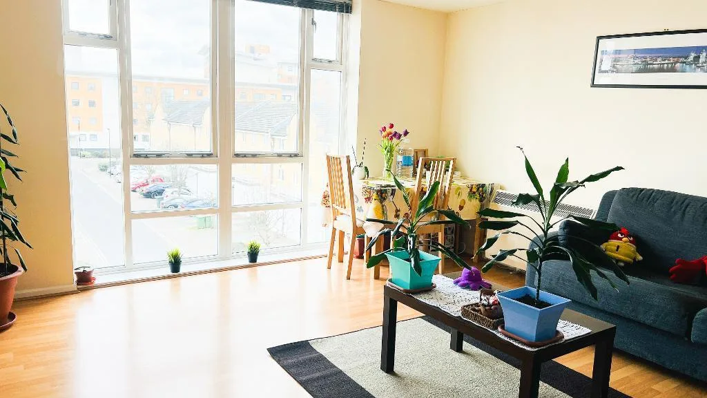 1 bedroom flat for rent