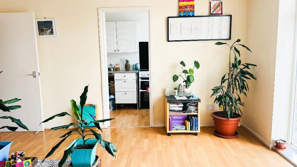 1 bedroom flat for rent