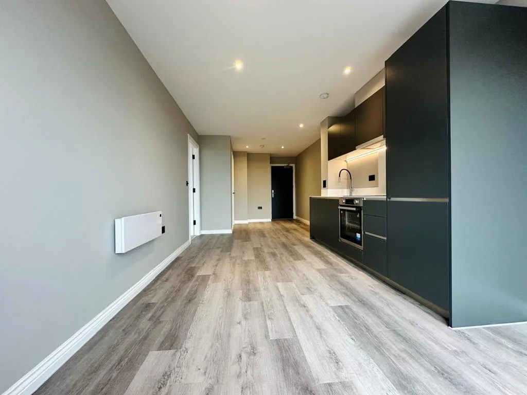 1 bedroom apartment for rent