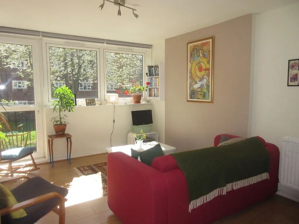1 bedroom apartment for rent