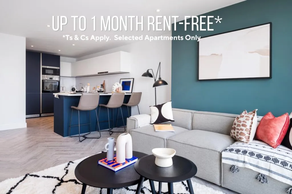 1 bedroom apartment for rent