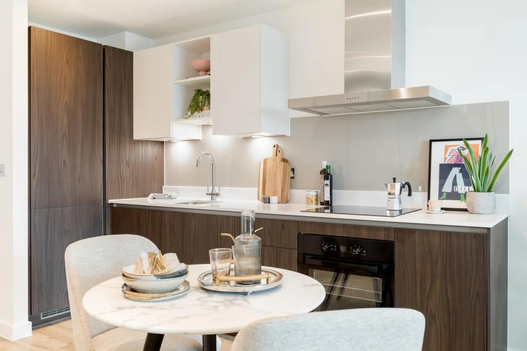 1 bedroom apartment for rent