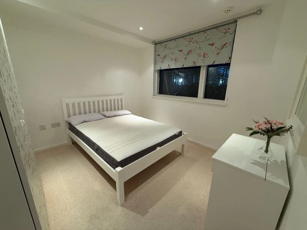 1 bedroom flat for rent