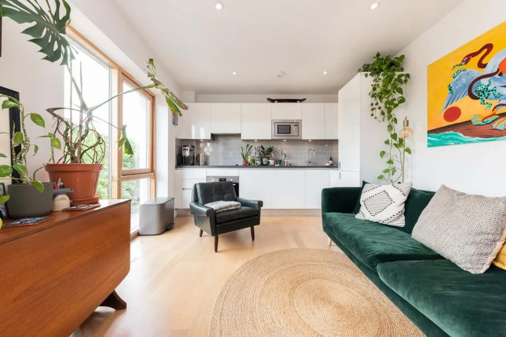 1 bedroom apartment for rent