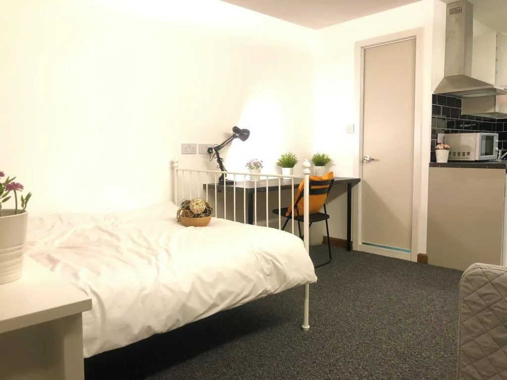 Studio flat for rent