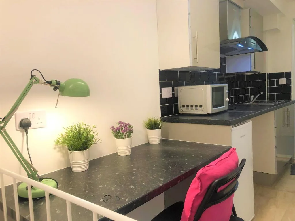 Studio flat for rent