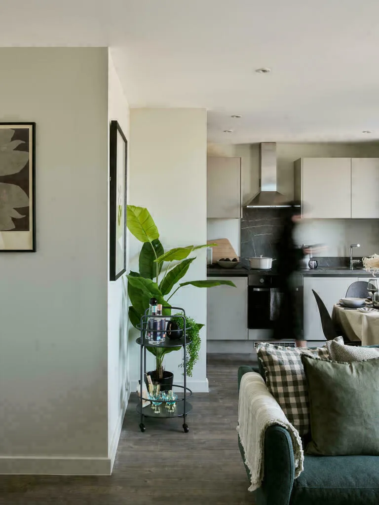 2 bedroom apartment for rent