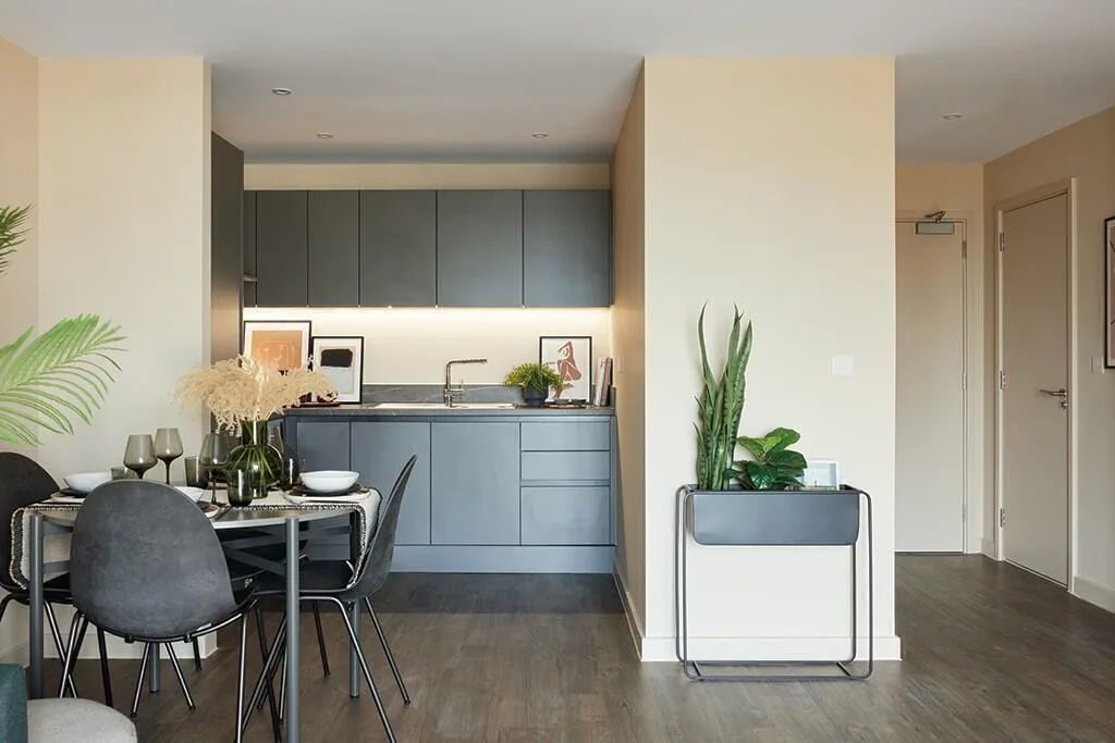 1 bedroom apartment for rent