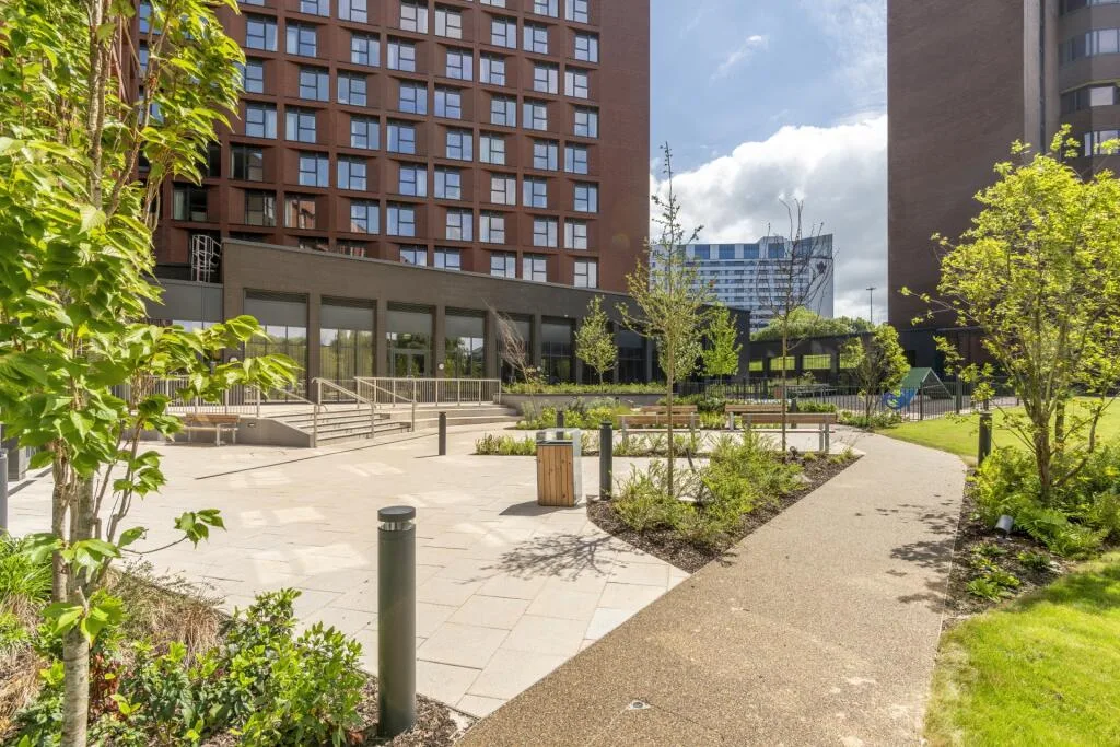 1 bedroom apartment for rent