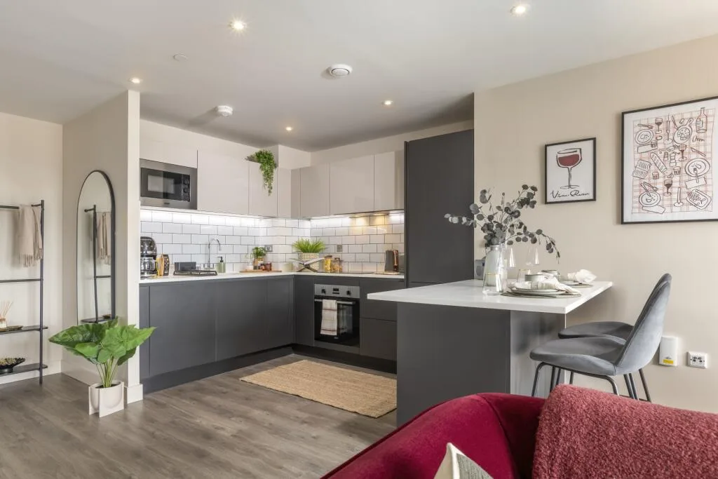 2 bedroom apartment for rent