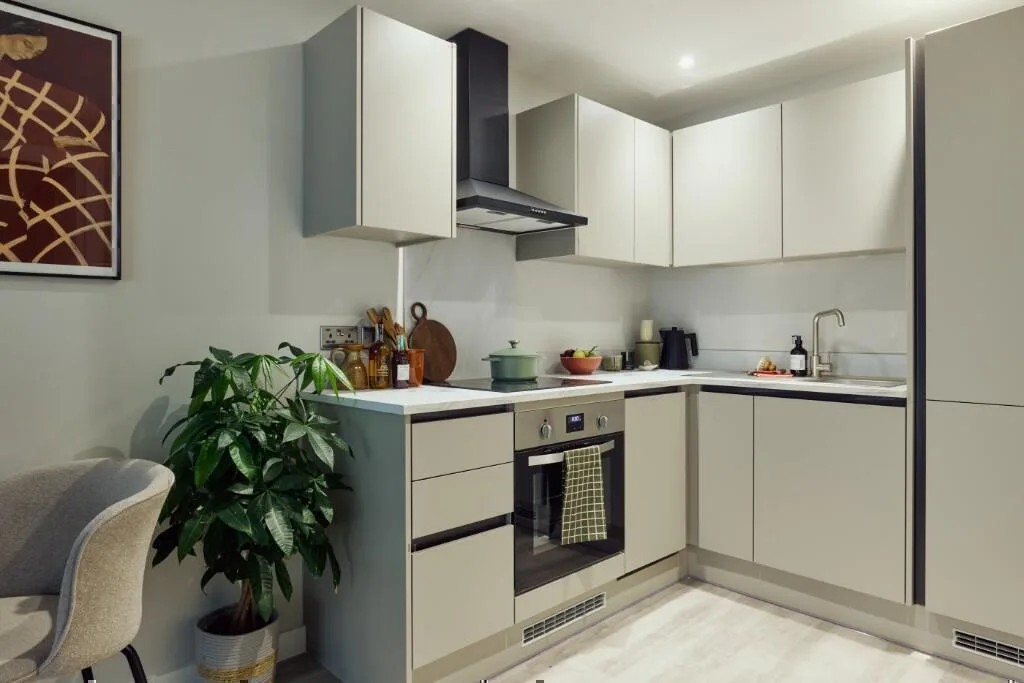 1 bedroom apartment for rent