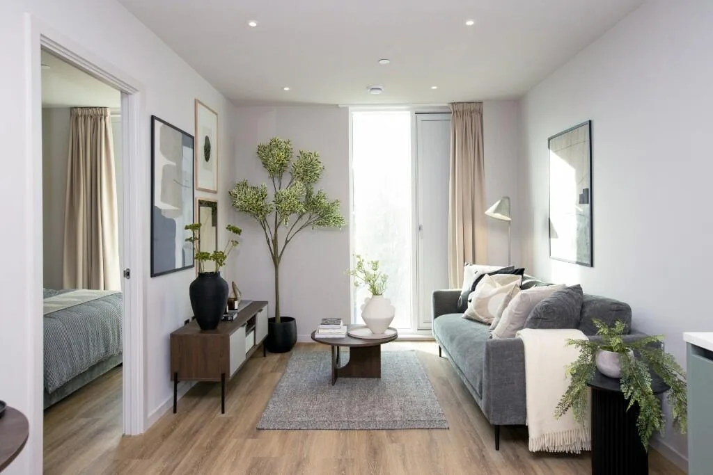 1 bedroom apartment for rent