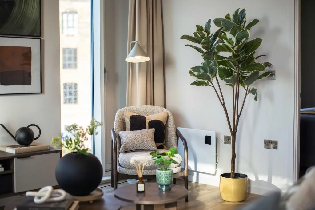 2 bedroom apartment for rent