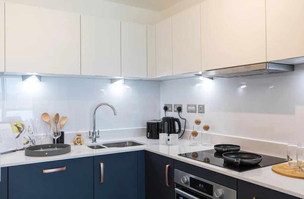 1 bedroom apartment for rent