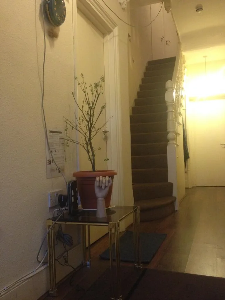 1 bedroom house share for rent