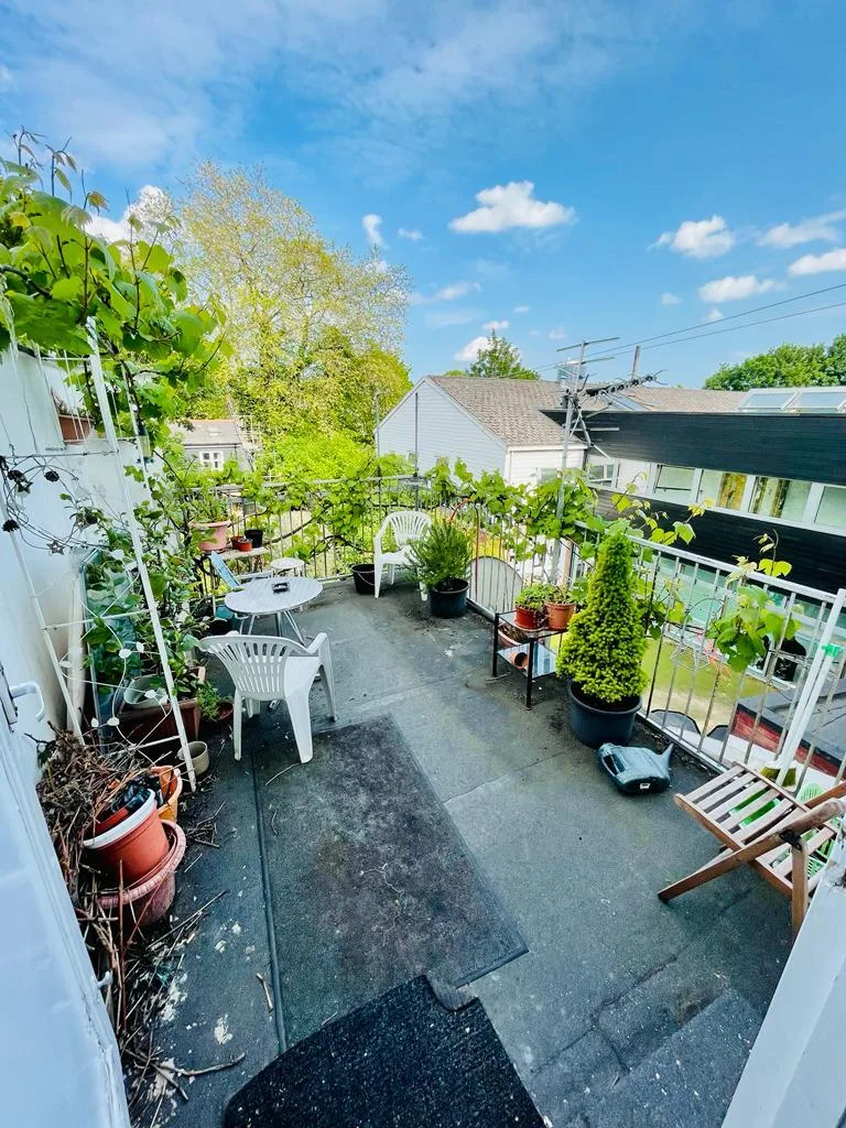 Studio flat for rent