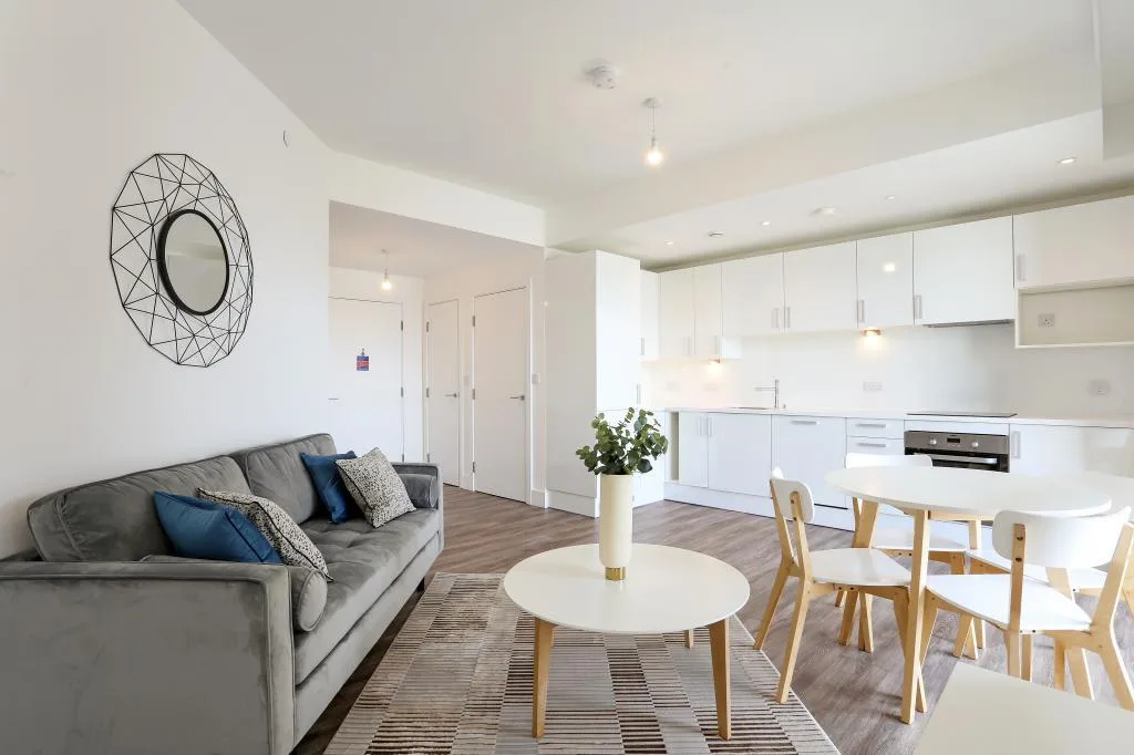 1 bedroom apartment for rent