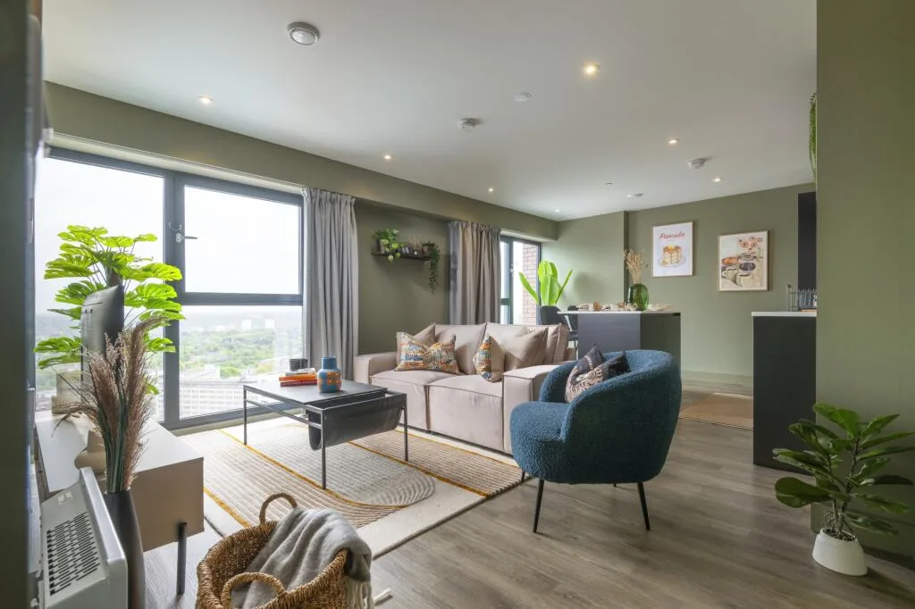 1 bedroom apartment for rent