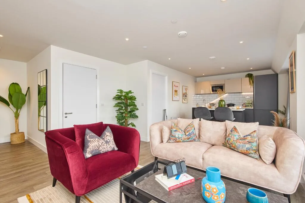 1 bedroom apartment for rent