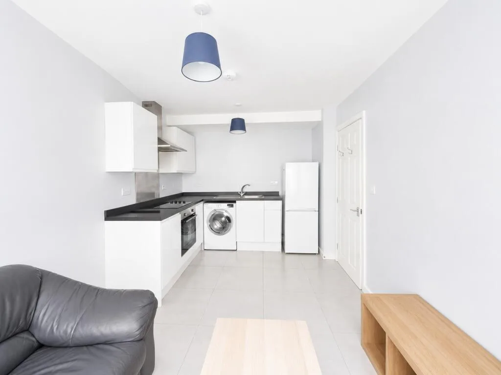 1 bedroom flat for rent