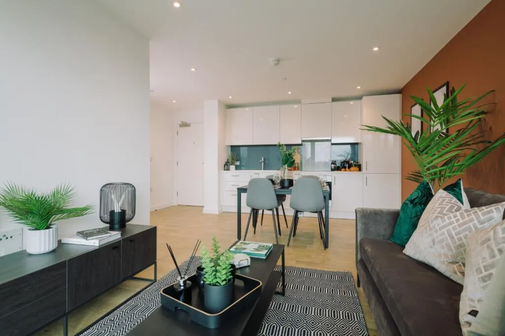 1 bedroom apartment for rent