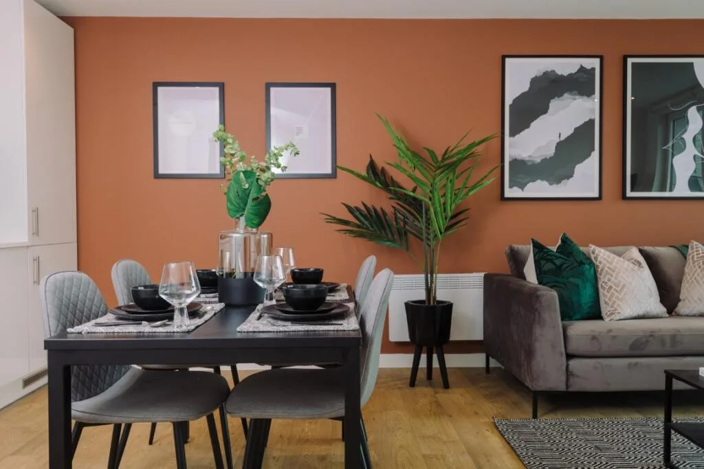 1 bedroom apartment for rent