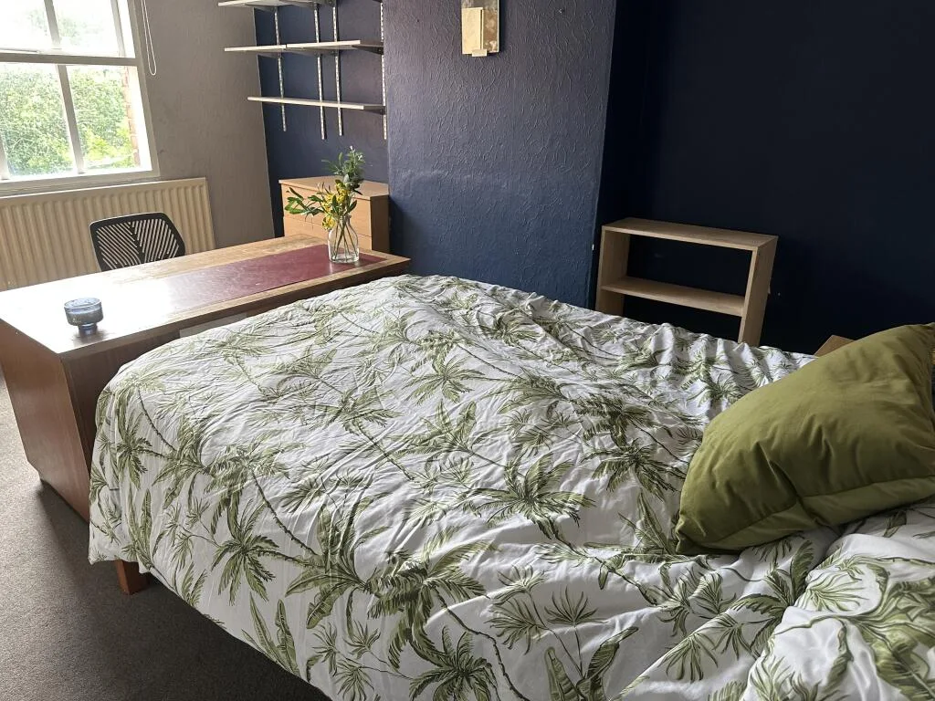 1 bedroom house for rent