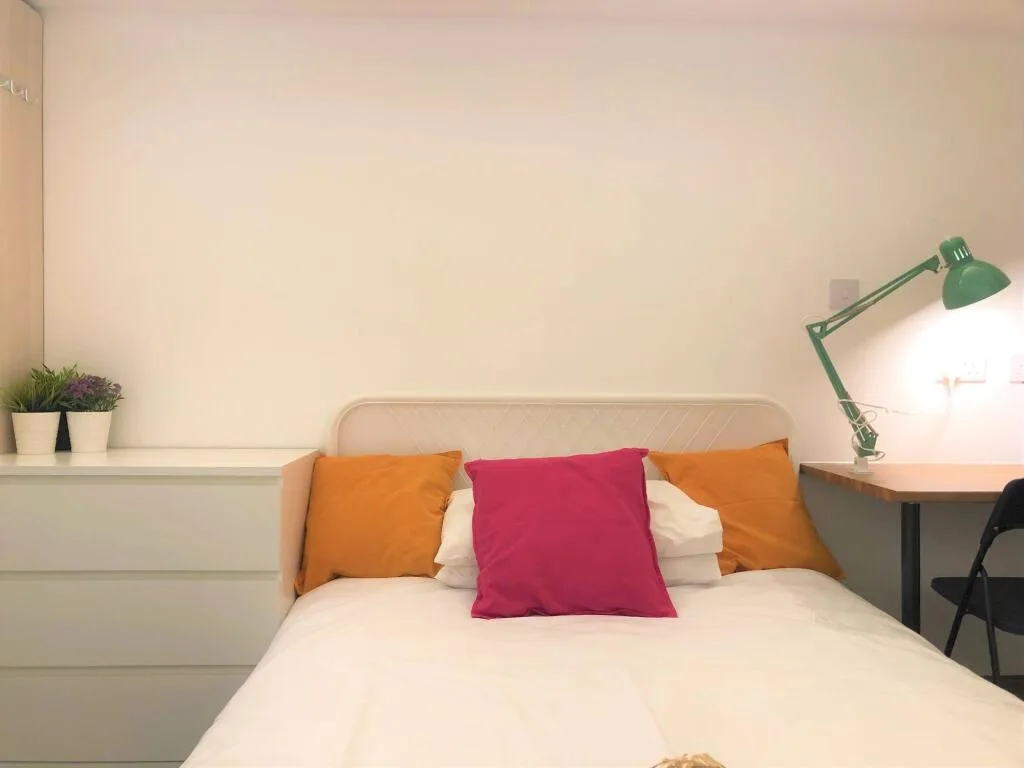 Studio flat for rent