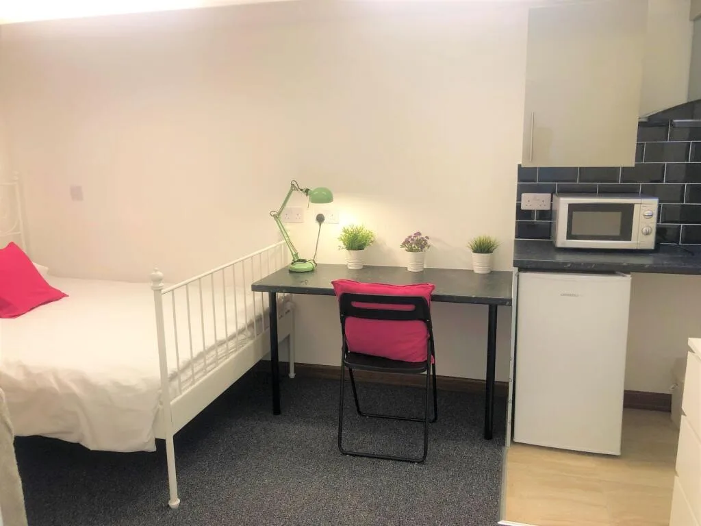 Studio flat for rent