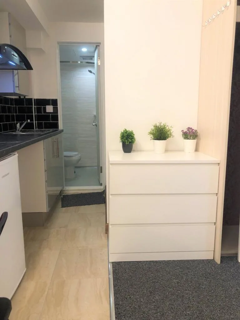 Studio flat for rent