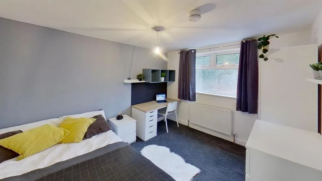 6 bedroom house for rent