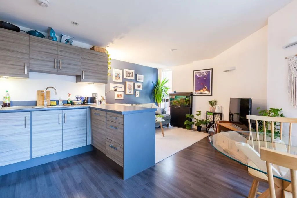 1 bedroom flat for rent