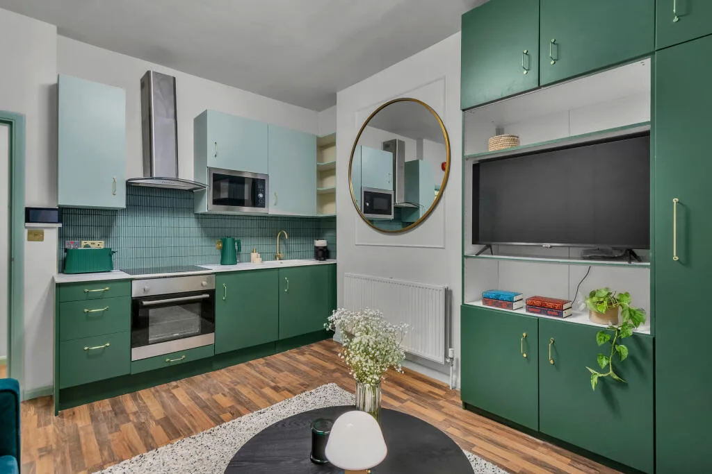 1 bedroom apartment for rent
