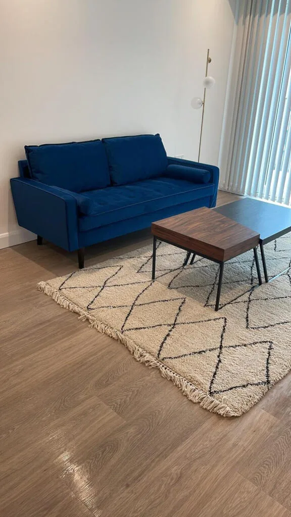 1 bedroom apartment for rent
